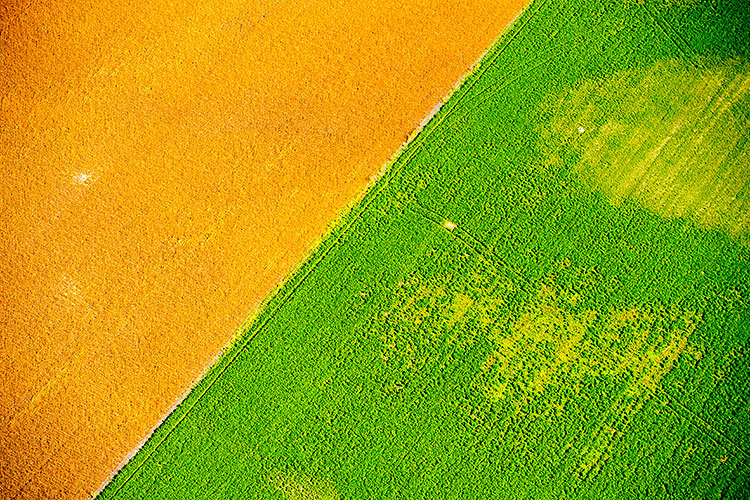 Rural field Manitoba aerial